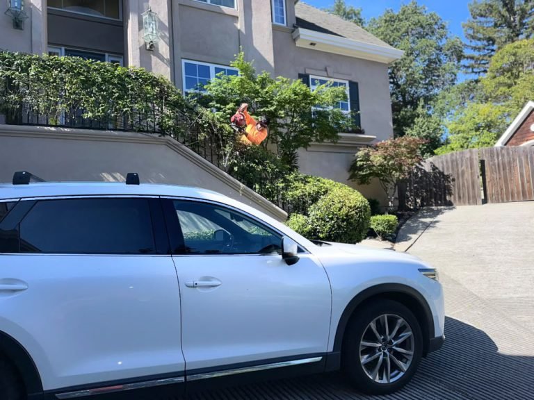 Landscaping project by HC Gardening & Landscaping in the East Bay Area