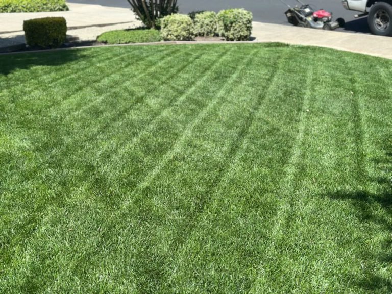 Landscaping project by HC Gardening & Landscaping in the East Bay Area