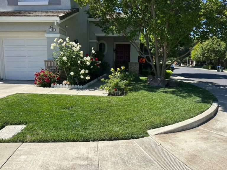 Landscaping project by HC Gardening & Landscaping in the East Bay Area