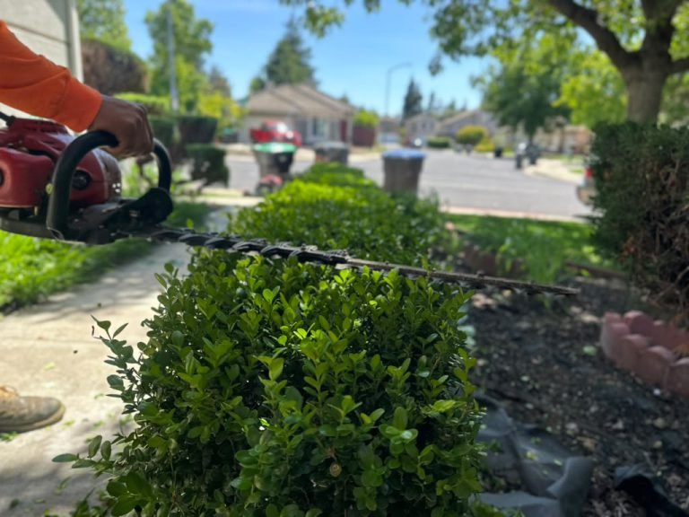 Landscaping project by HC Gardening & Landscaping in the East Bay Area