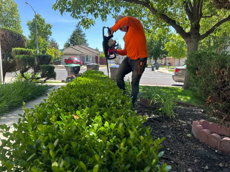 Landscaping project by HC Gardening & Landscaping in the East Bay Area