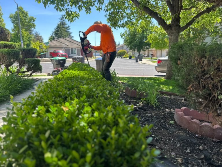 Landscaping project by HC Gardening & Landscaping in the East Bay Area