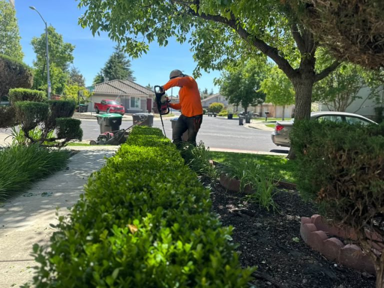 Landscaping project by HC Gardening & Landscaping in the East Bay Area