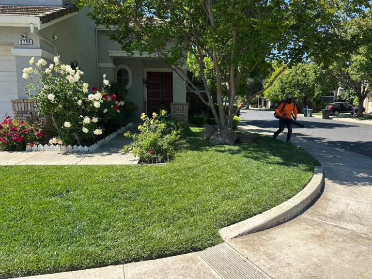 Landscaping project by HC Gardening & Landscaping in the East Bay Area