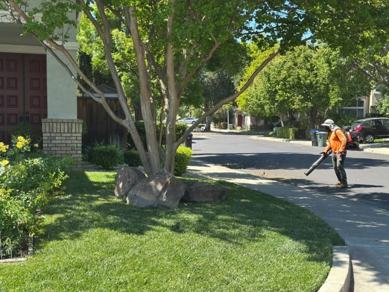 Landscaping project by HC Gardening & Landscaping in the East Bay Area