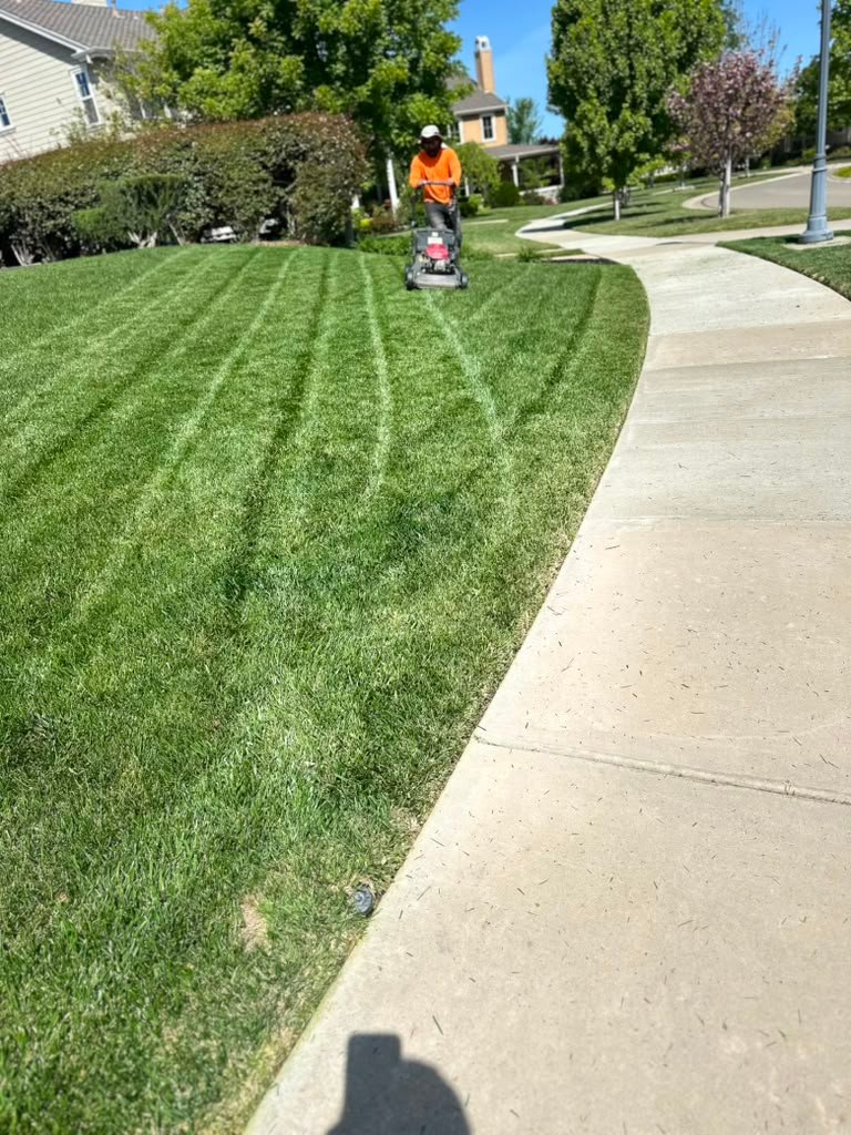 Landscaping project by HC Gardening & Landscaping in the East Bay Area