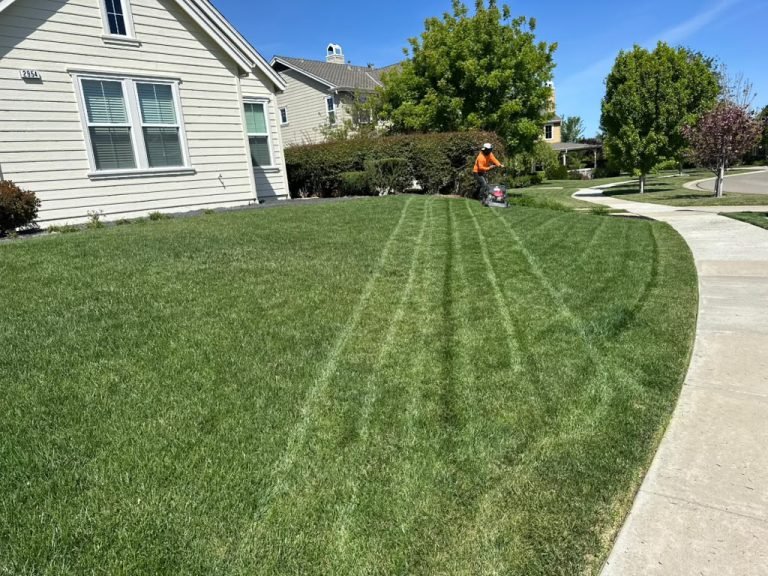 Landscaping project by HC Gardening & Landscaping in the East Bay Area