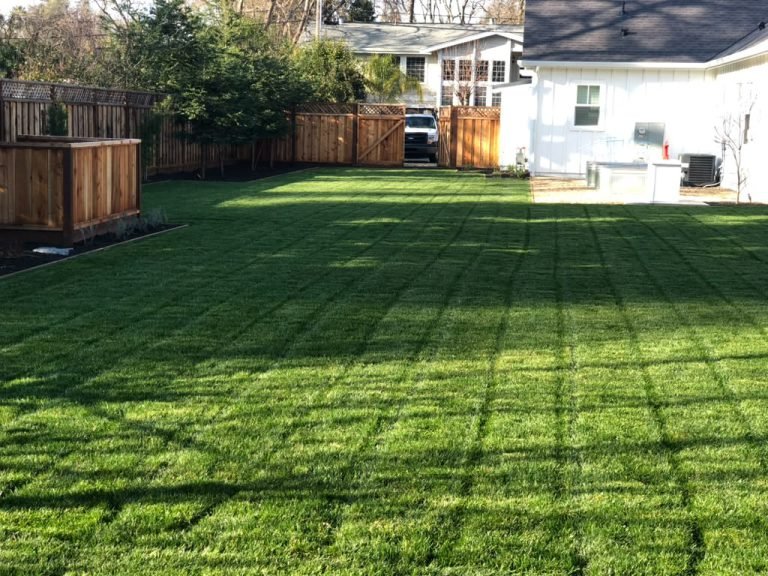 Landscaping project by HC Gardening & Landscaping in the East Bay Area