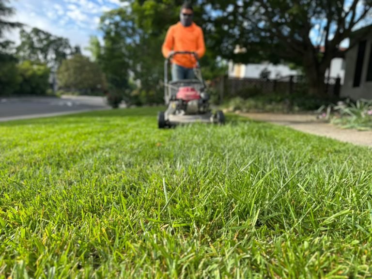 Landscaping project by HC Gardening & Landscaping in the East Bay Area