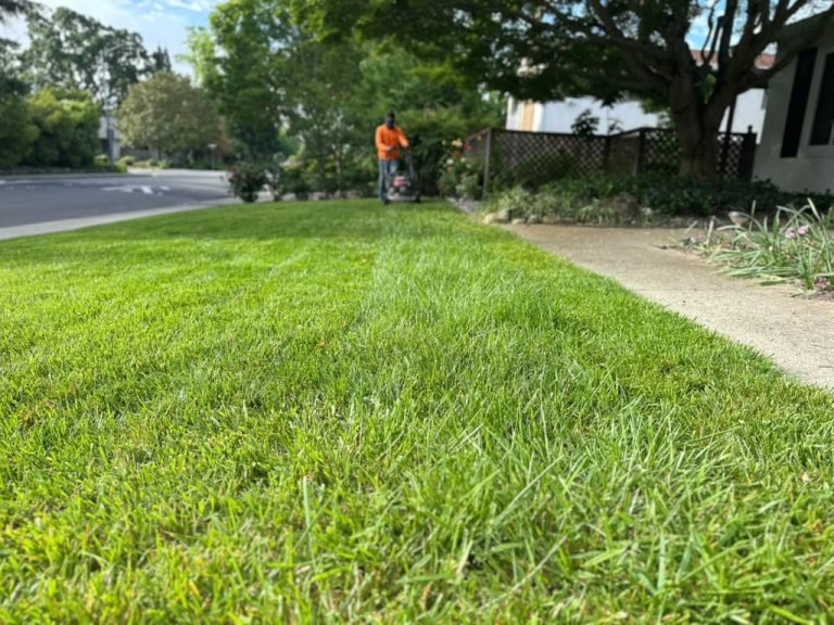 Landscaping project by HC Gardening & Landscaping in the East Bay Area