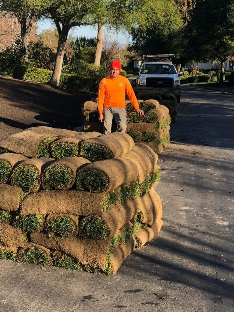 HC Gardening & Landscaping — project photo