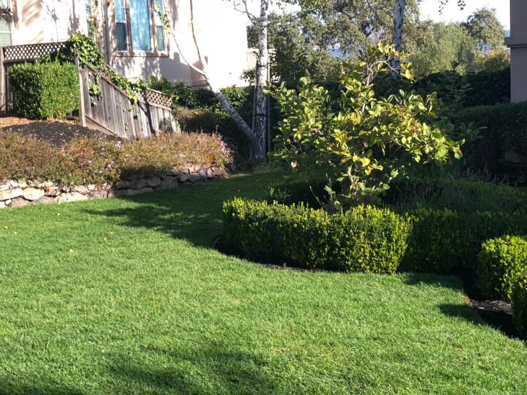 Landscaping project by HC Gardening & Landscaping in the East Bay Area