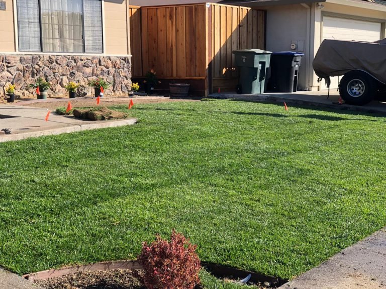 Landscaping project by HC Gardening & Landscaping in the East Bay Area