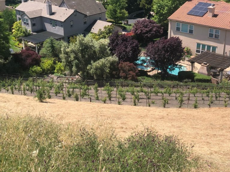 HC Gardening & Landscaping — project photo