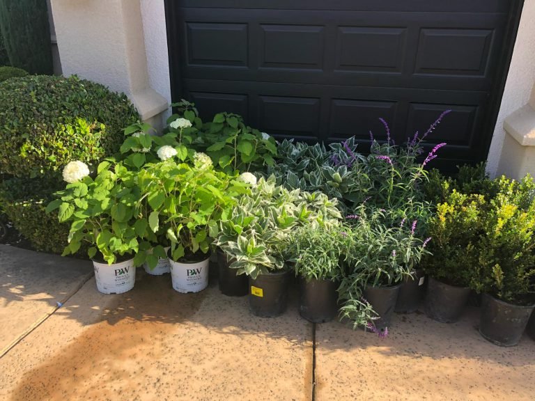 HC Gardening & Landscaping — project photo