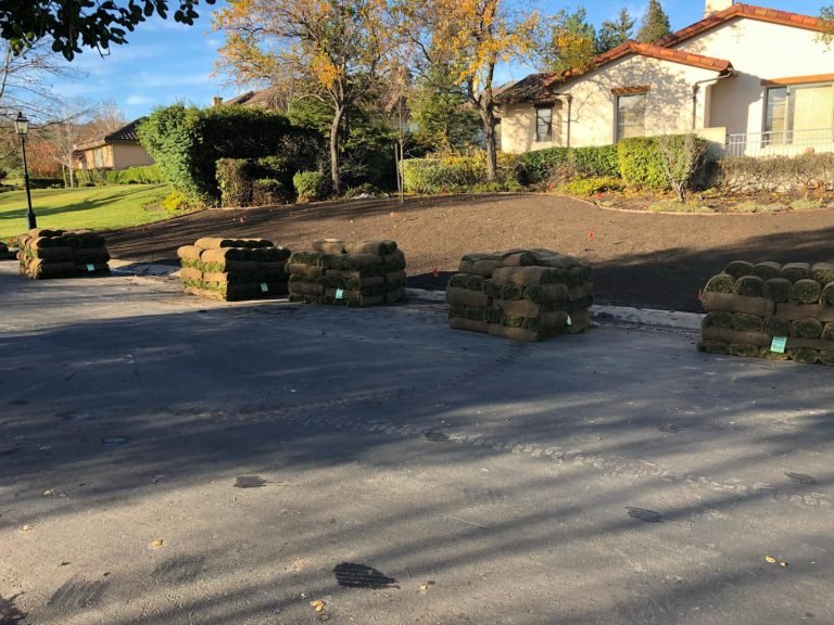 HC Gardening & Landscaping — project photo