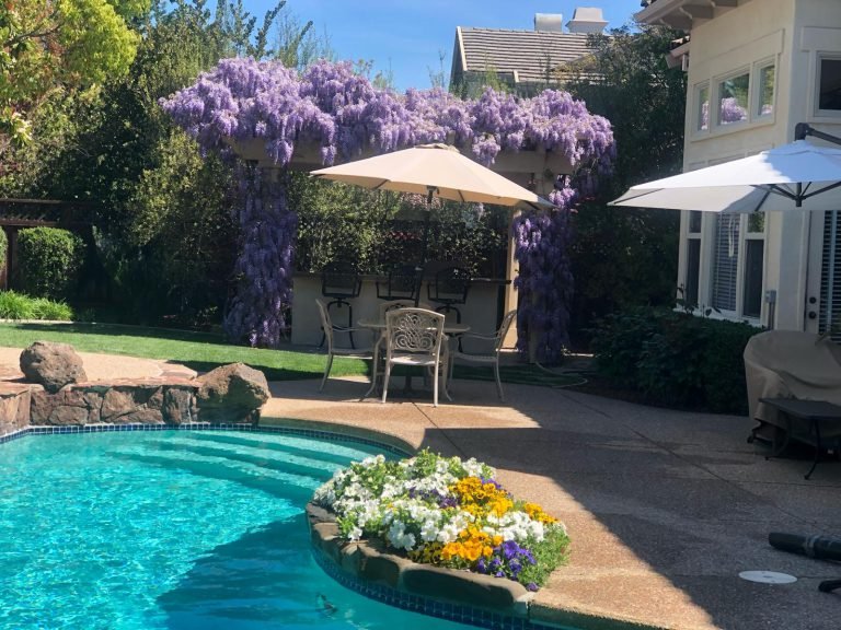 HC Gardening & Landscaping — project photo