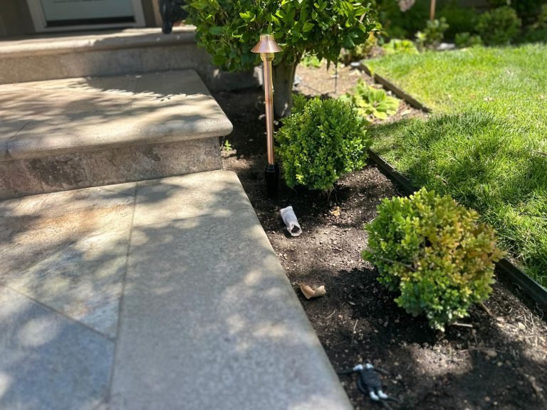 HC Gardening & Landscaping — project photo