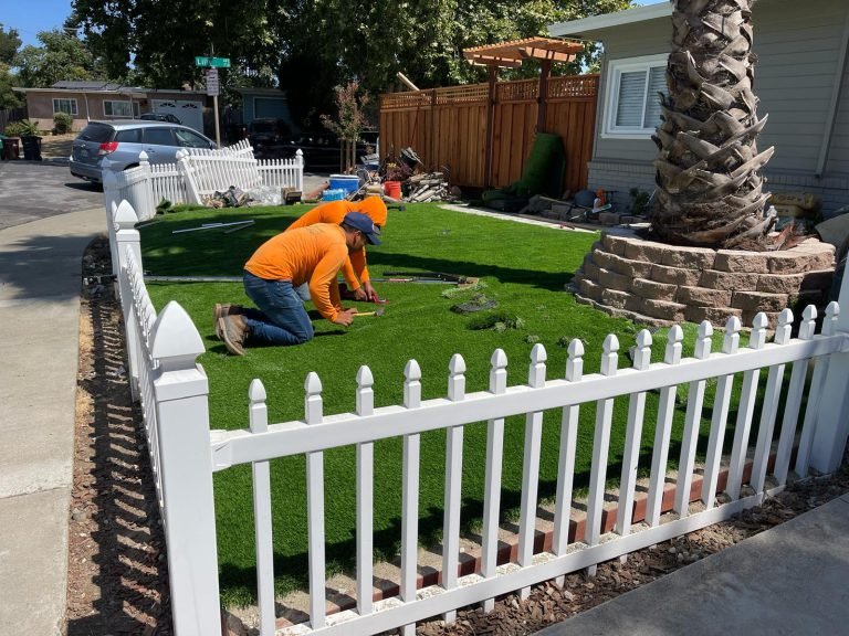HC Gardening & Landscaping — project photo