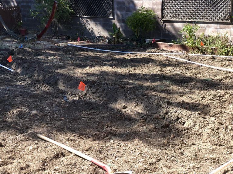HC Gardening & Landscaping — project photo
