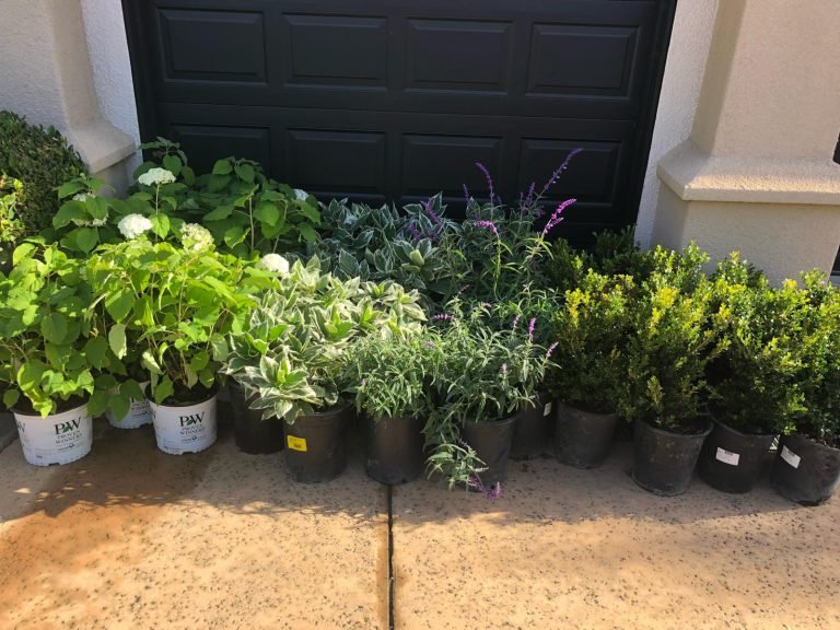 HC Gardening & Landscaping — project photo