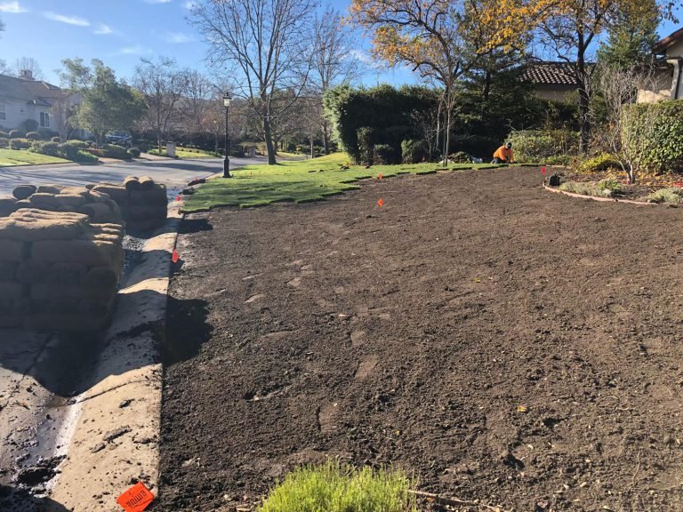 HC Gardening & Landscaping — project photo