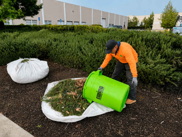 Seasonal Clean Ups by HC Gardening & Landscaping